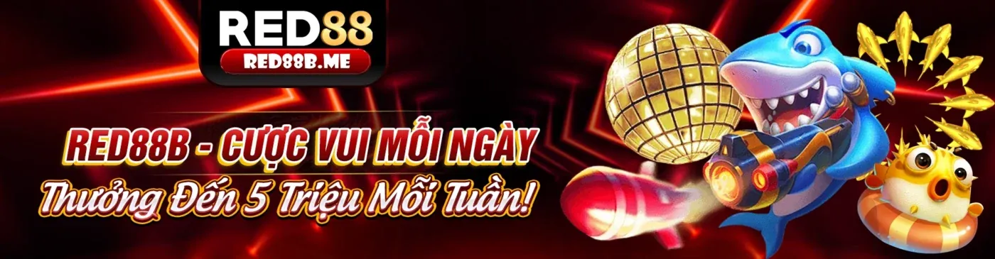 Chương Trình Thành Viên VIP ricwin app